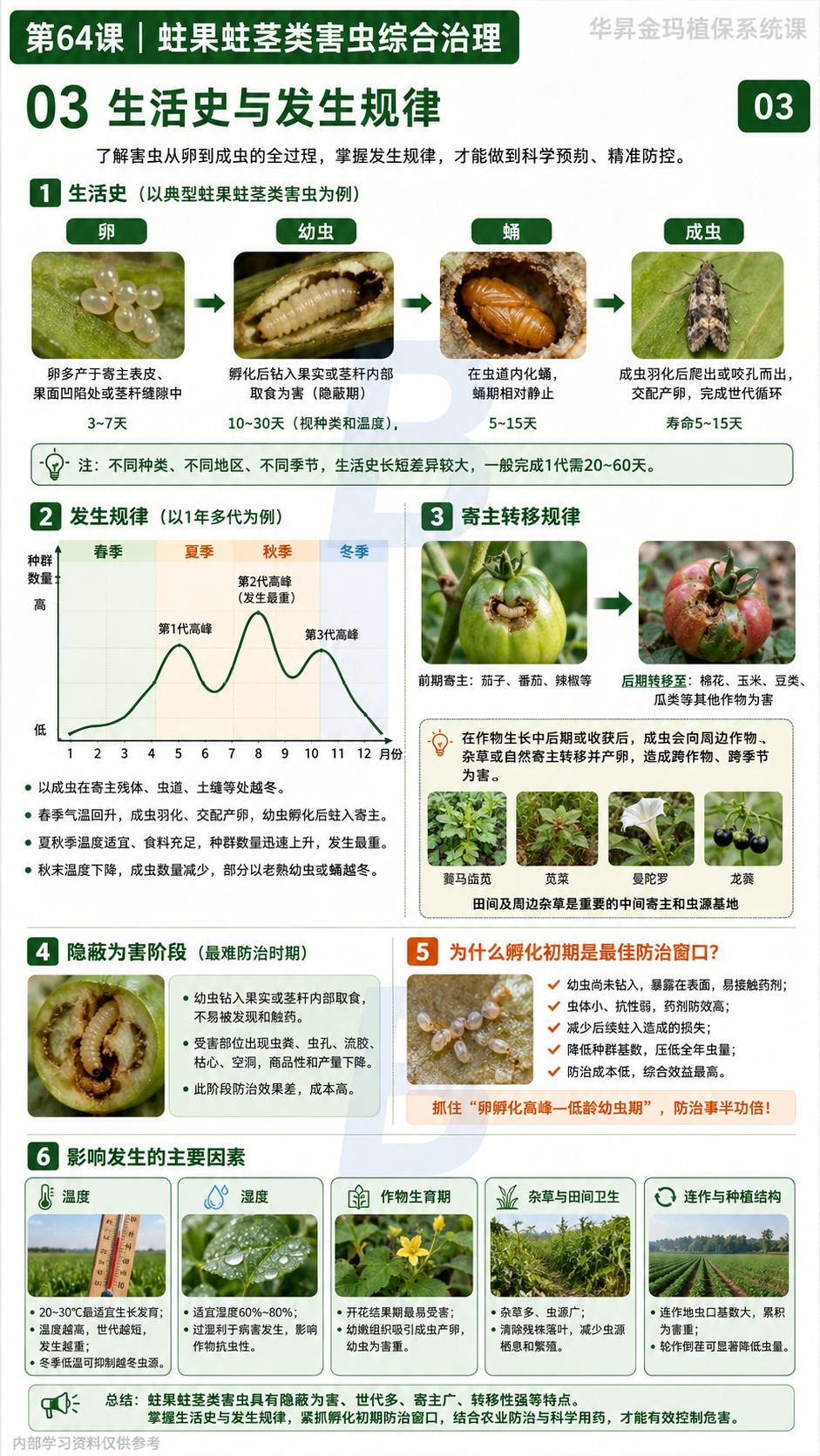华昇金玛植保系统课第64课蛀果蛀茎害虫第3张原图