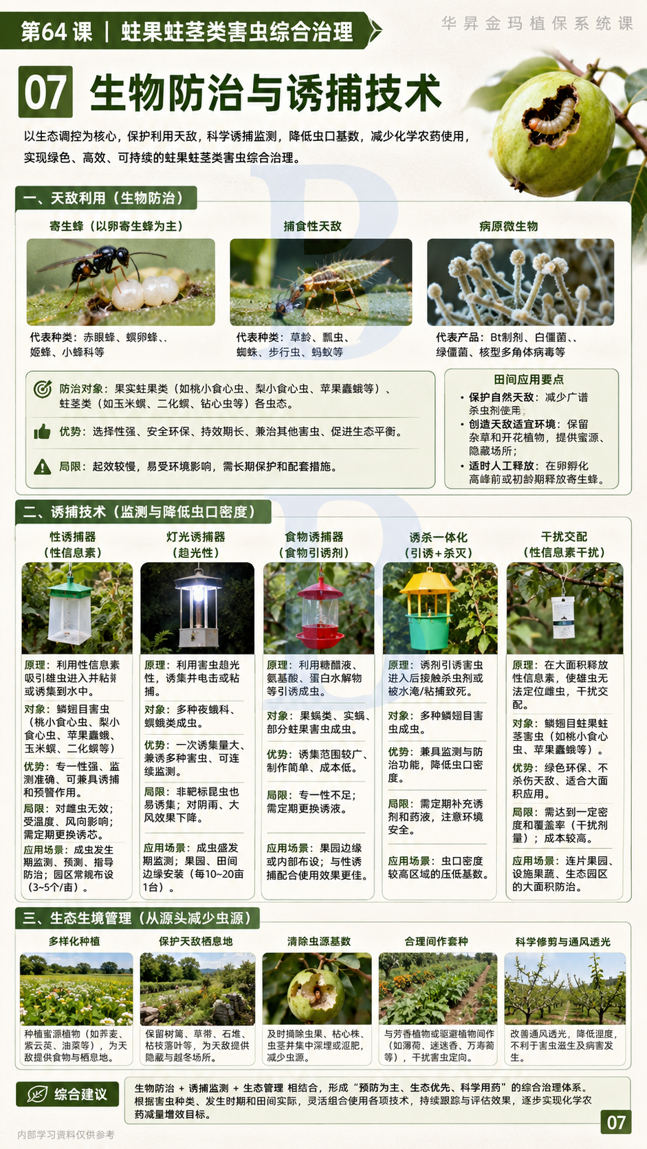 华昇金玛植保系统课第64课蛀果蛀茎害虫第7张原图