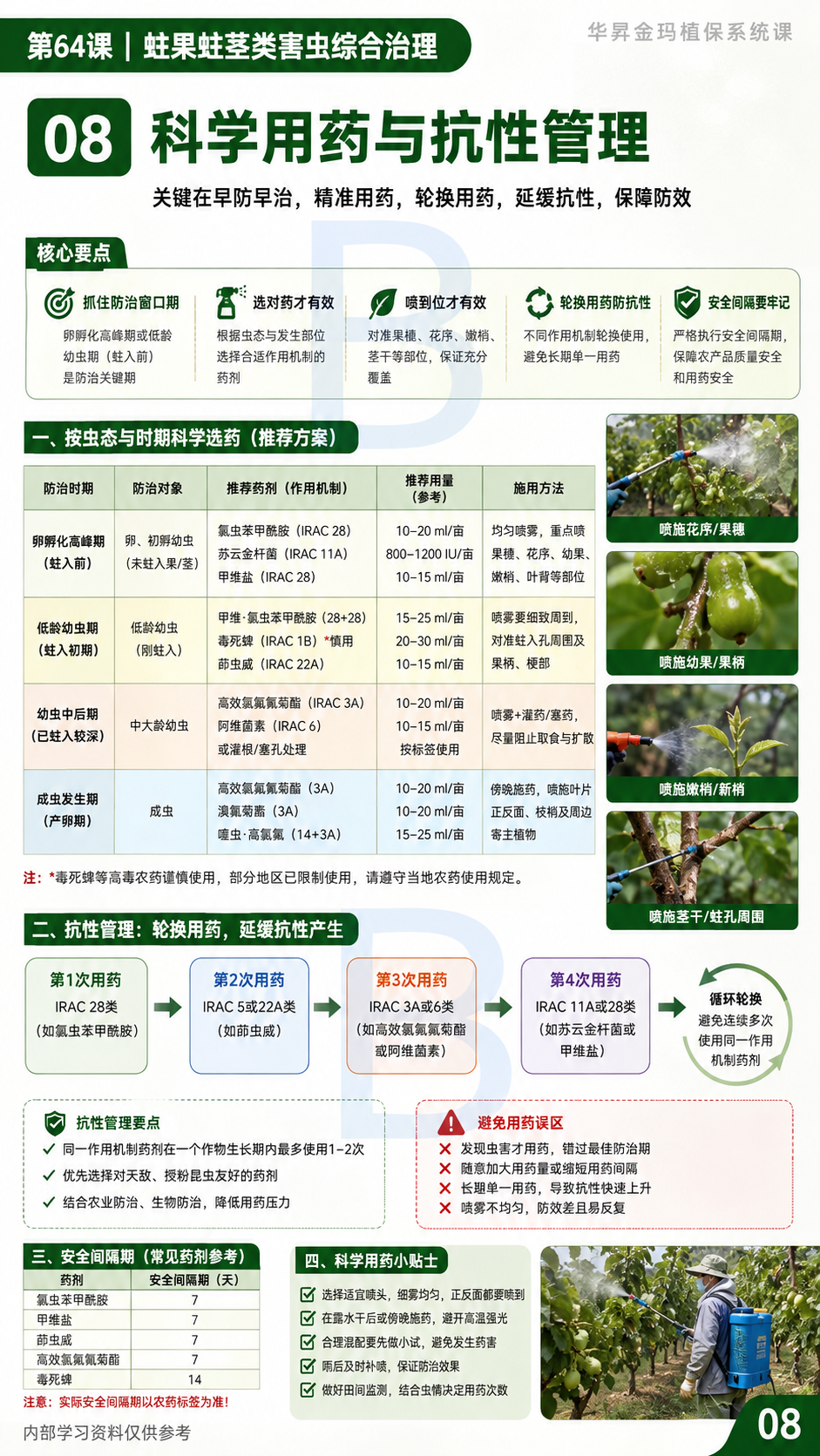 华昇金玛植保系统课第64课蛀果蛀茎害虫第8张原图
