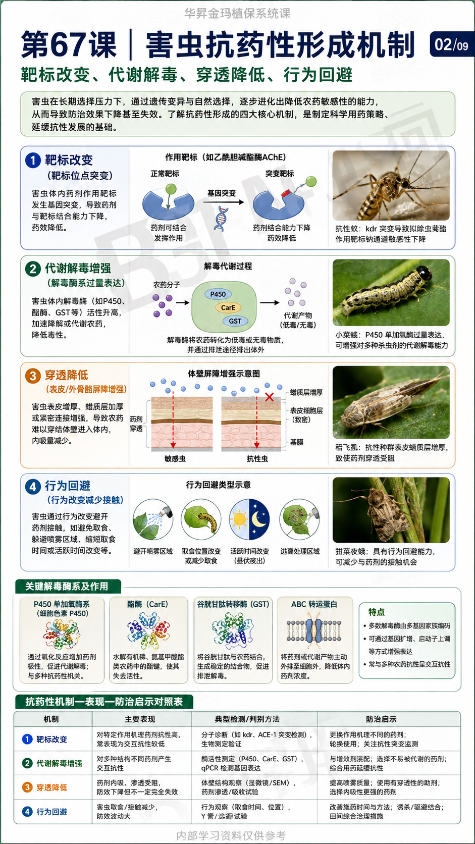 华昇金玛植保系统课第67课害虫抗药性与轮换用药第2张原图
