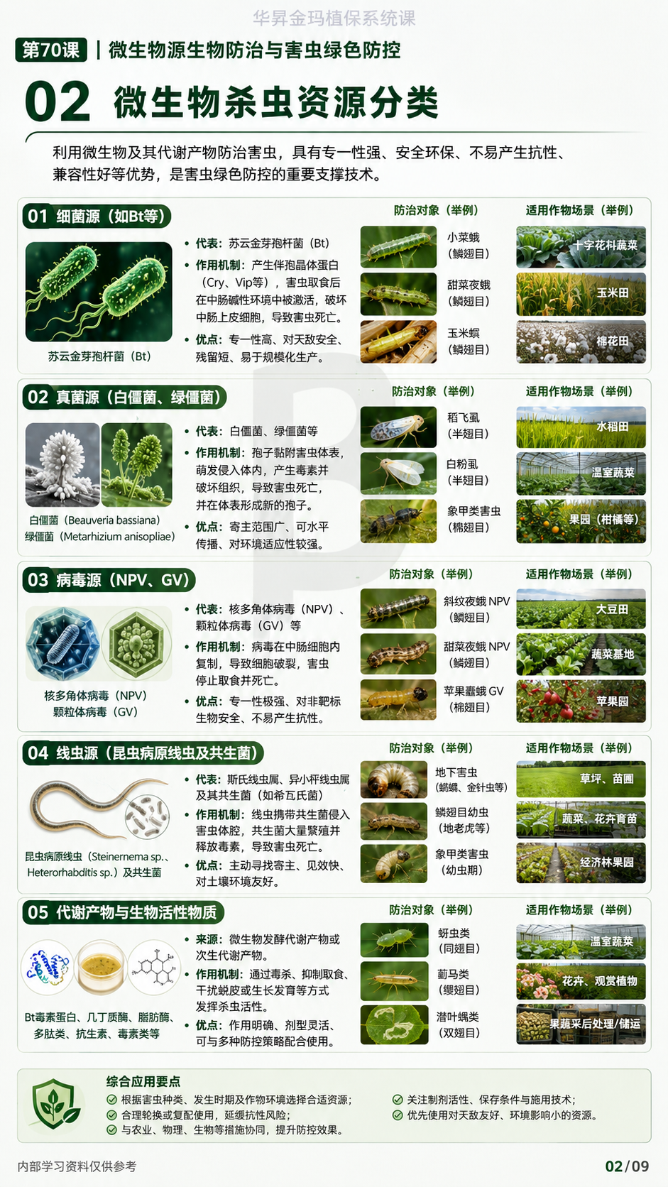 华昇金玛植保系统课第70课微生物杀虫剂第2张原图