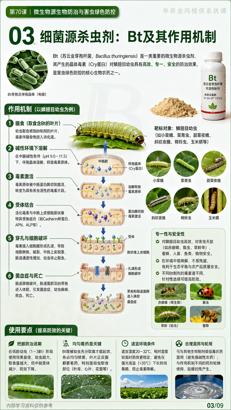 华昇金玛植保系统课第70课微生物杀虫剂第3张原图