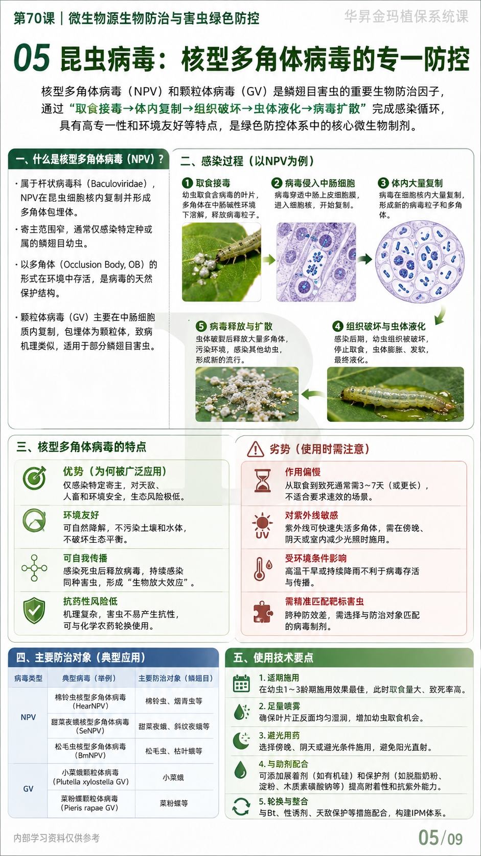 华昇金玛植保系统课第70课微生物杀虫剂第5张原图