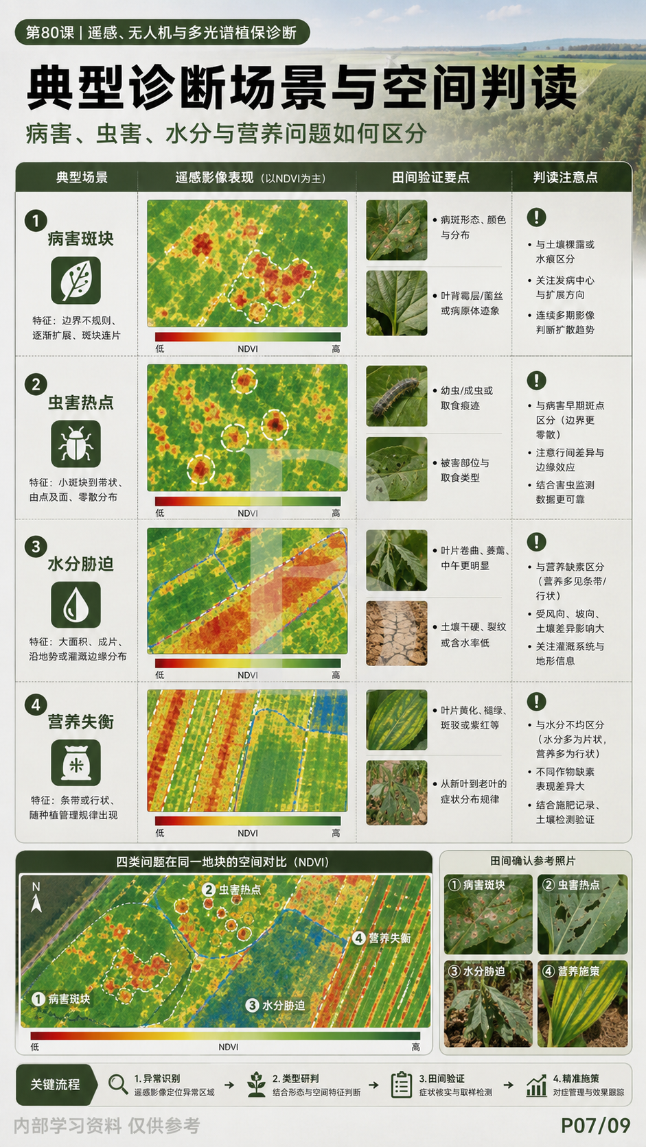 华昇金玛植保系统课第80课无人机多光谱与田间复查第7张原图