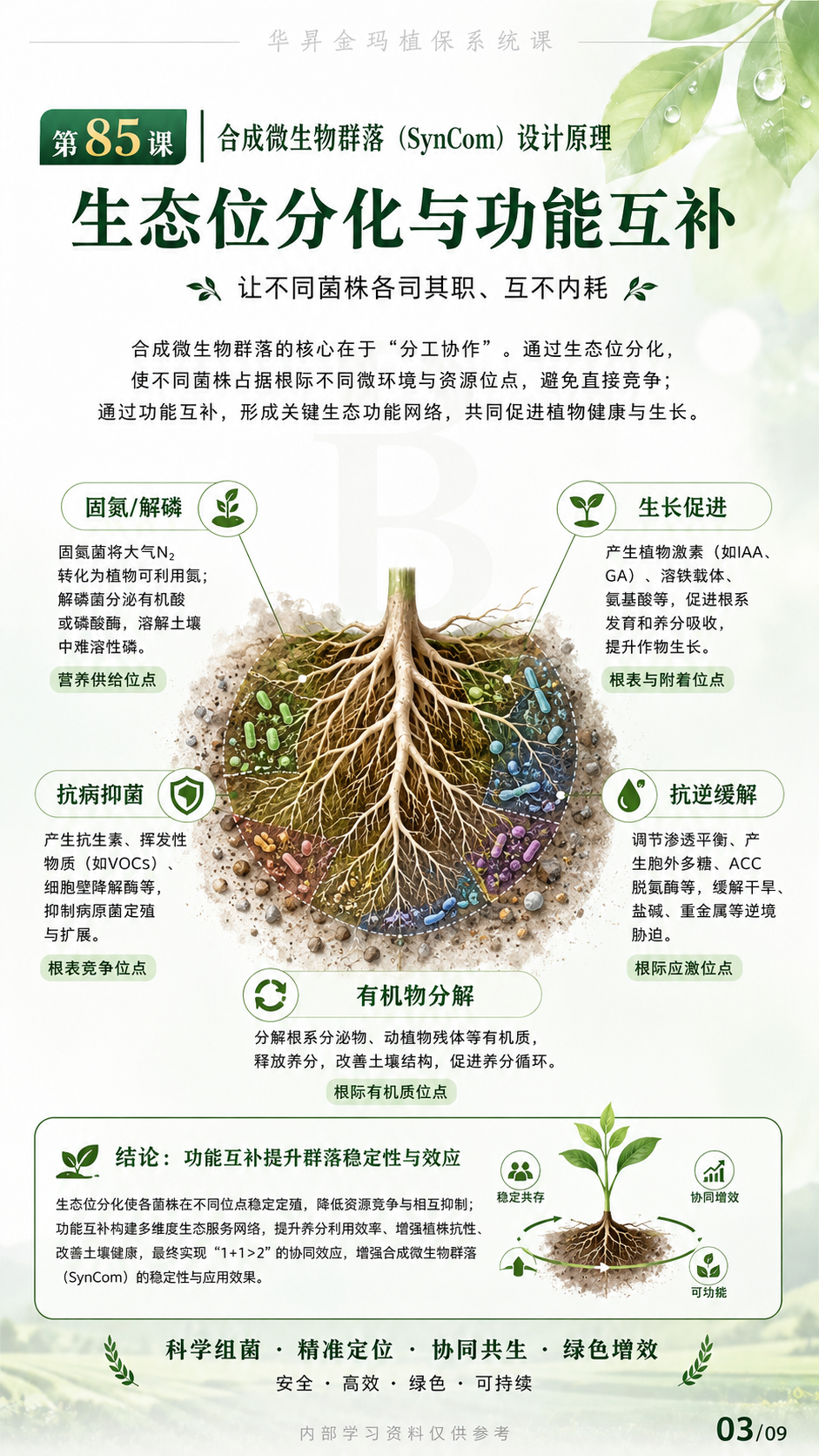 华昇金玛植保系统课第85课合成菌群设计第3张原图