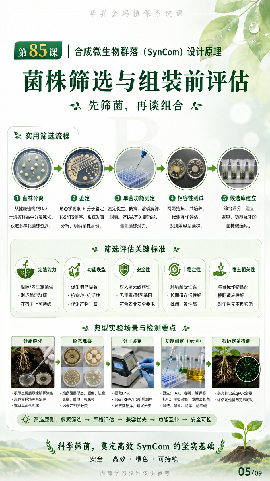 华昇金玛植保系统课第85课合成菌群设计第5张原图