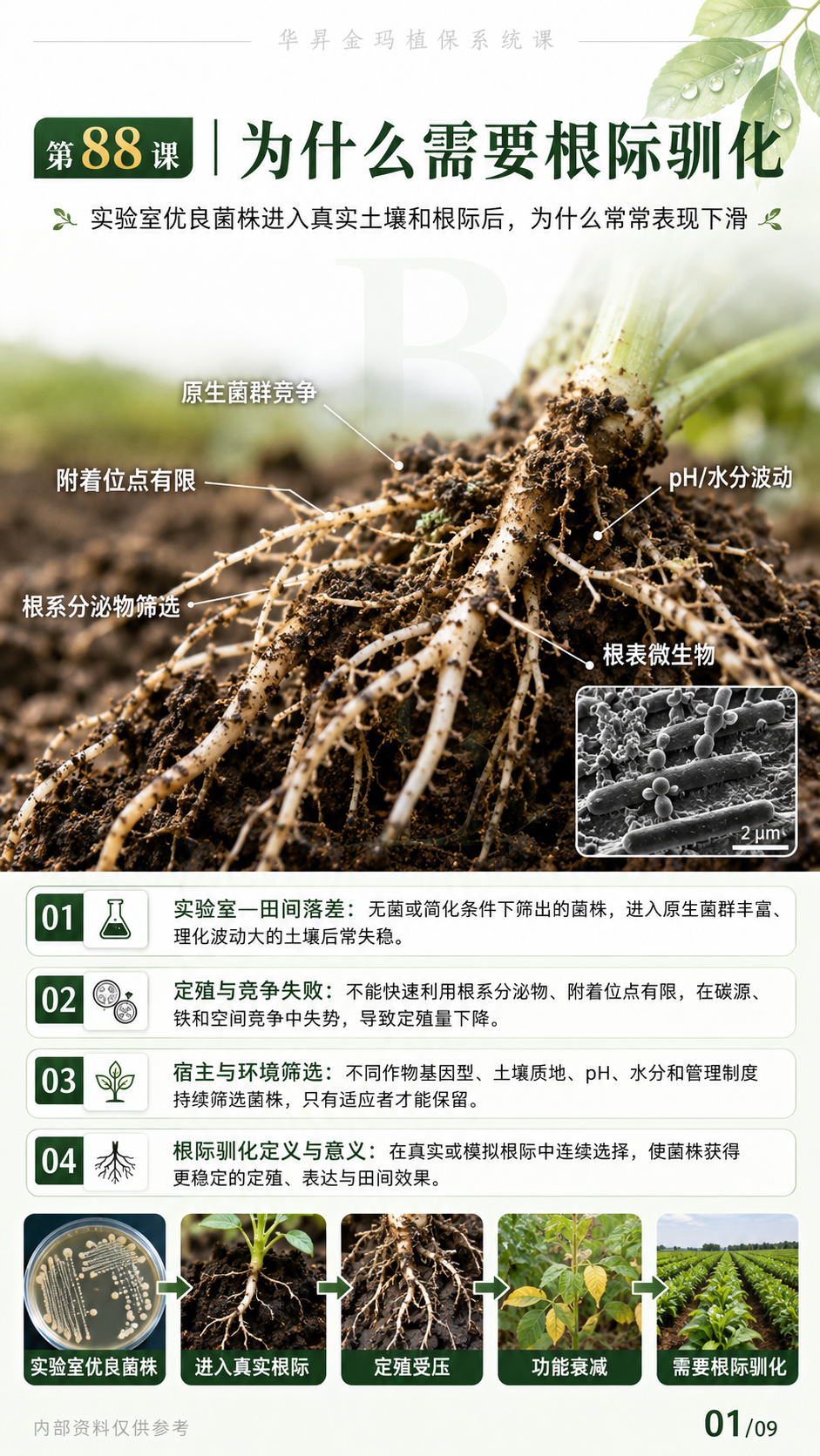 华昇金玛植保系统课第88课根际驯化与菌株适配第1张原图