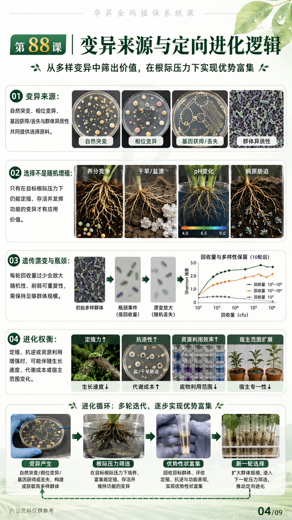 华昇金玛植保系统课第88课根际驯化与菌株适配第4张原图