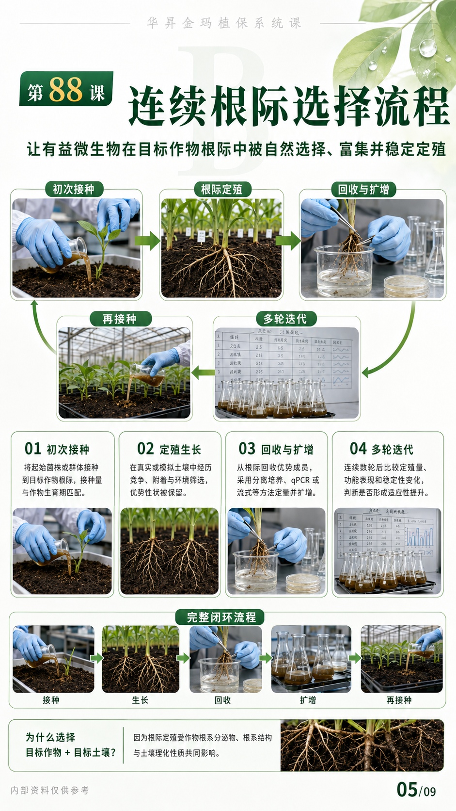华昇金玛植保系统课第88课根际驯化与菌株适配第5张原图