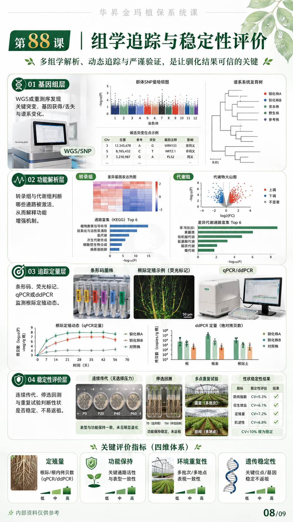 华昇金玛植保系统课第88课根际驯化与菌株适配第8张原图