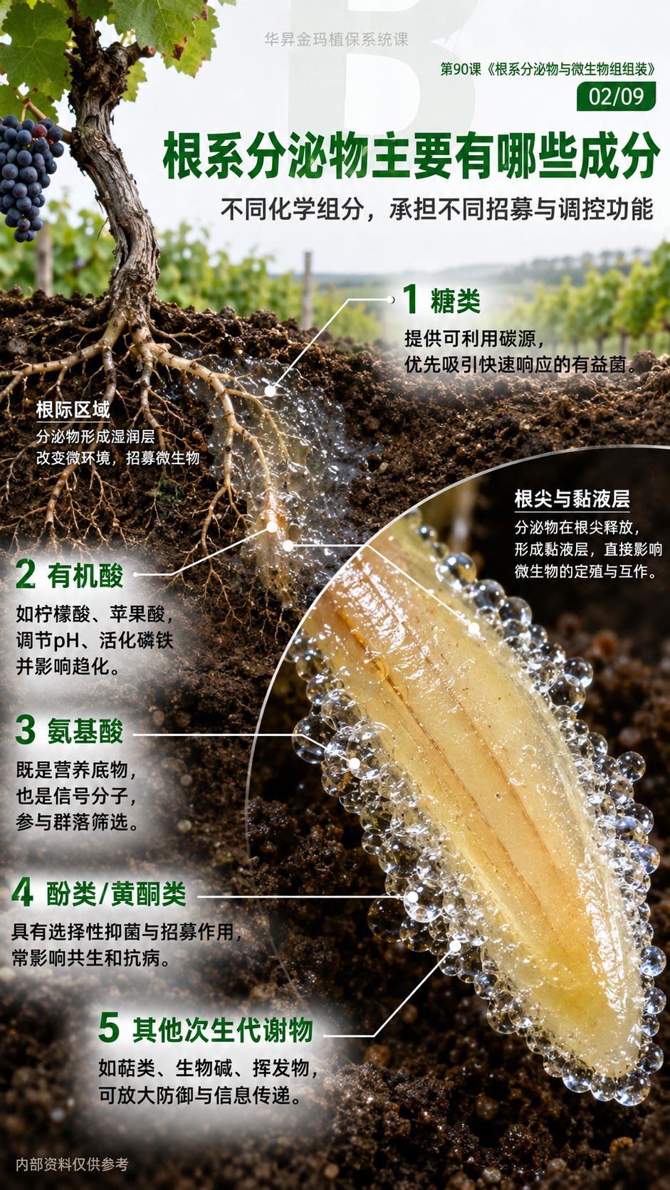 华昇金玛植保系统课第90课根系分泌物与微生物组组装第2张原图