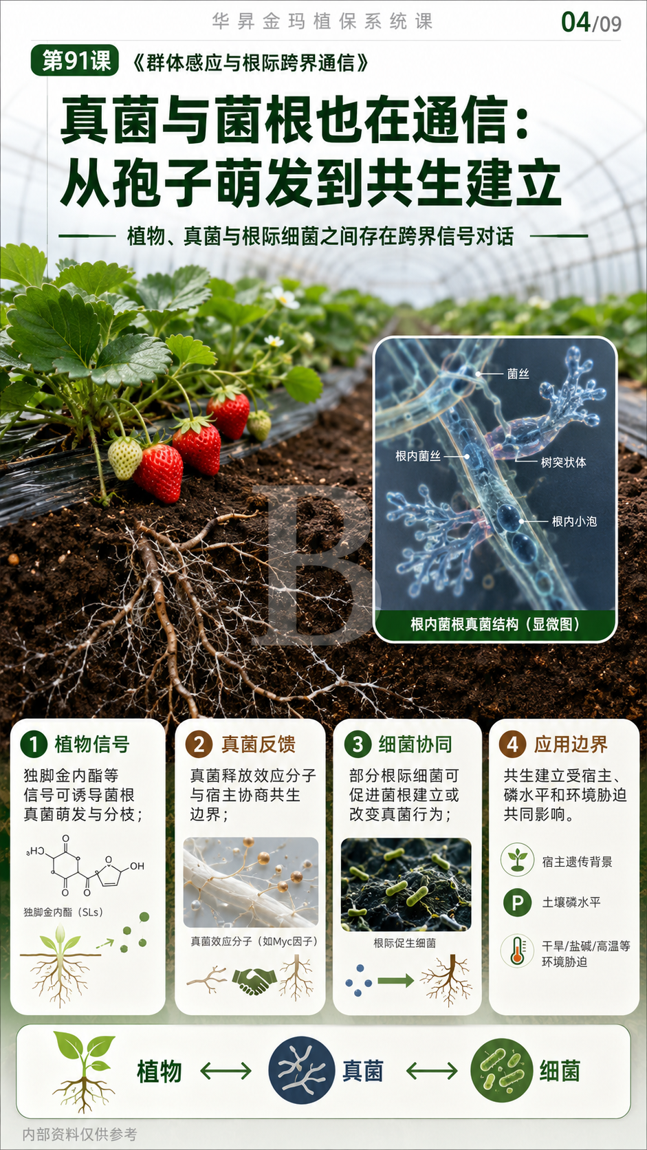 华昇金玛植保系统课第91课群体感应与根际跨界通信第4张原图