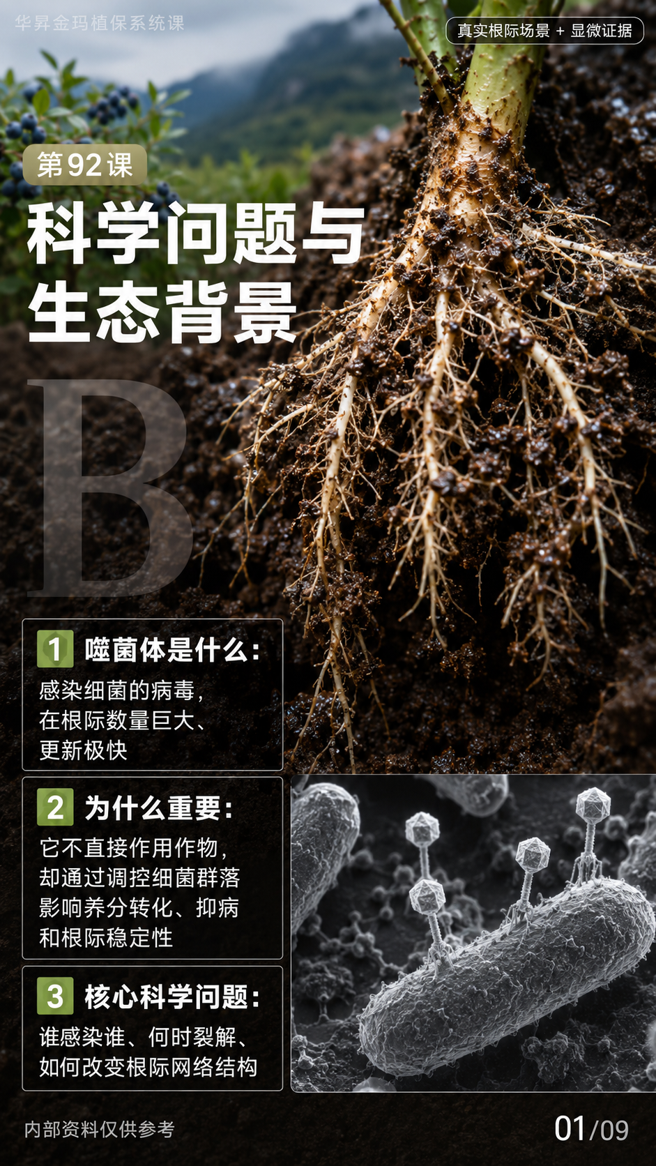 华昇金玛第92课图内第1页原图，科学问题与生态背景