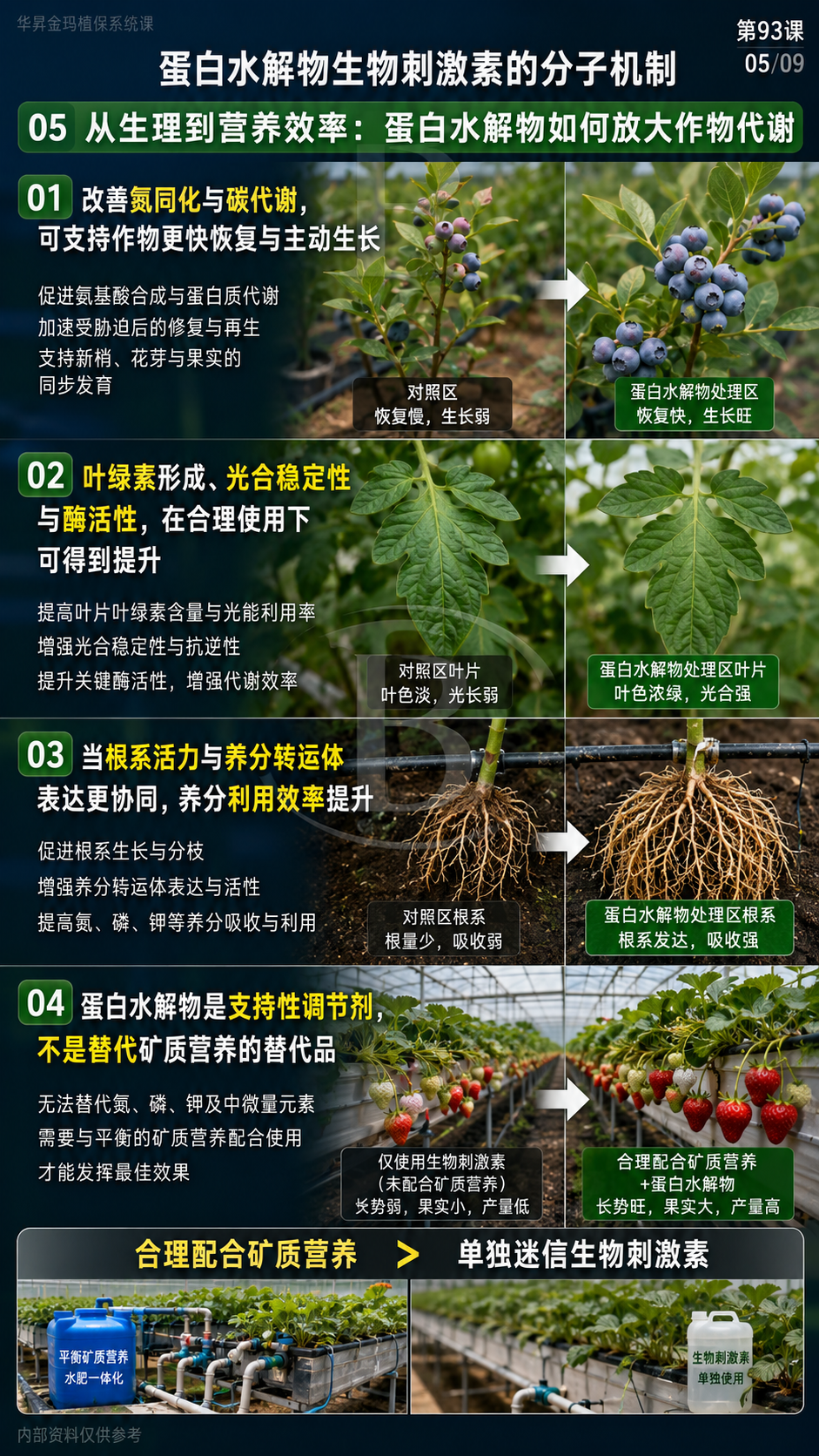 华昇金玛植保系统课第93课蛋白水解物、活性肽与应用配伍第5张原图