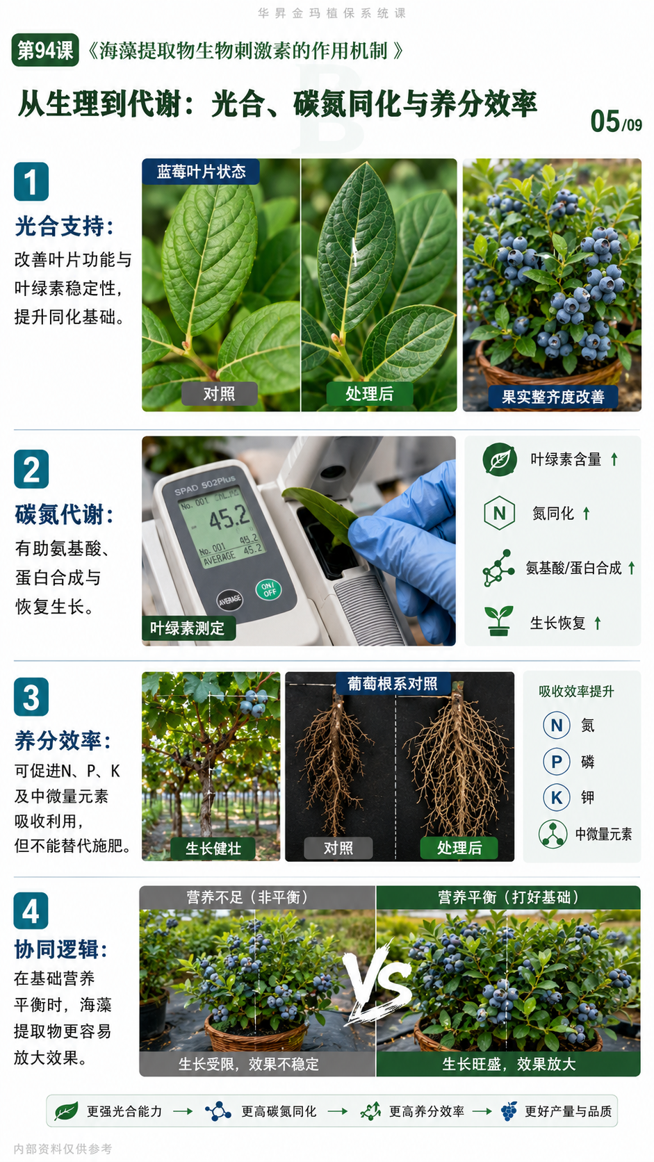 华昇金玛植保系统课第94课海藻提取物、生根抗逆与施用核对第5张原图
