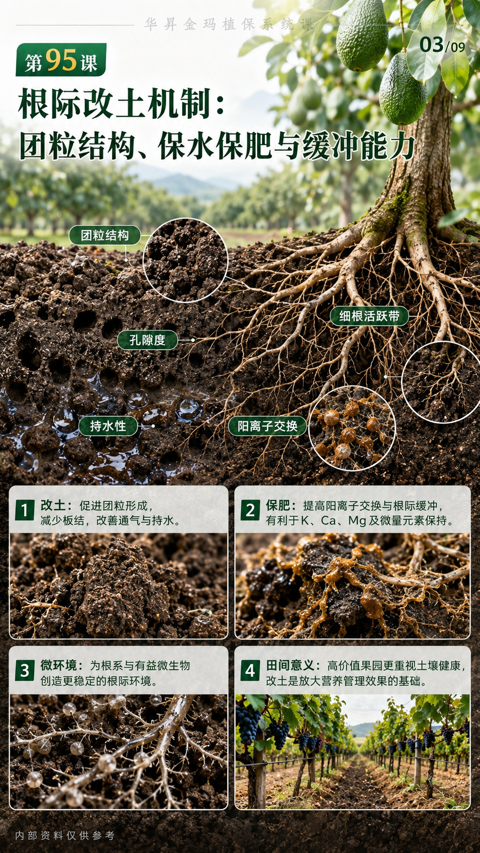 华昇金玛植保系统课第95课腐植酸、富里酸与根区施用核对第3张原图
