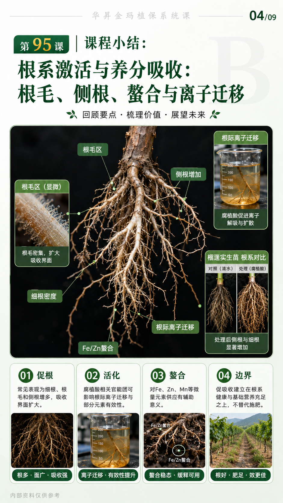 华昇金玛植保系统课第95课腐植酸、富里酸与根区施用核对第4张原图
