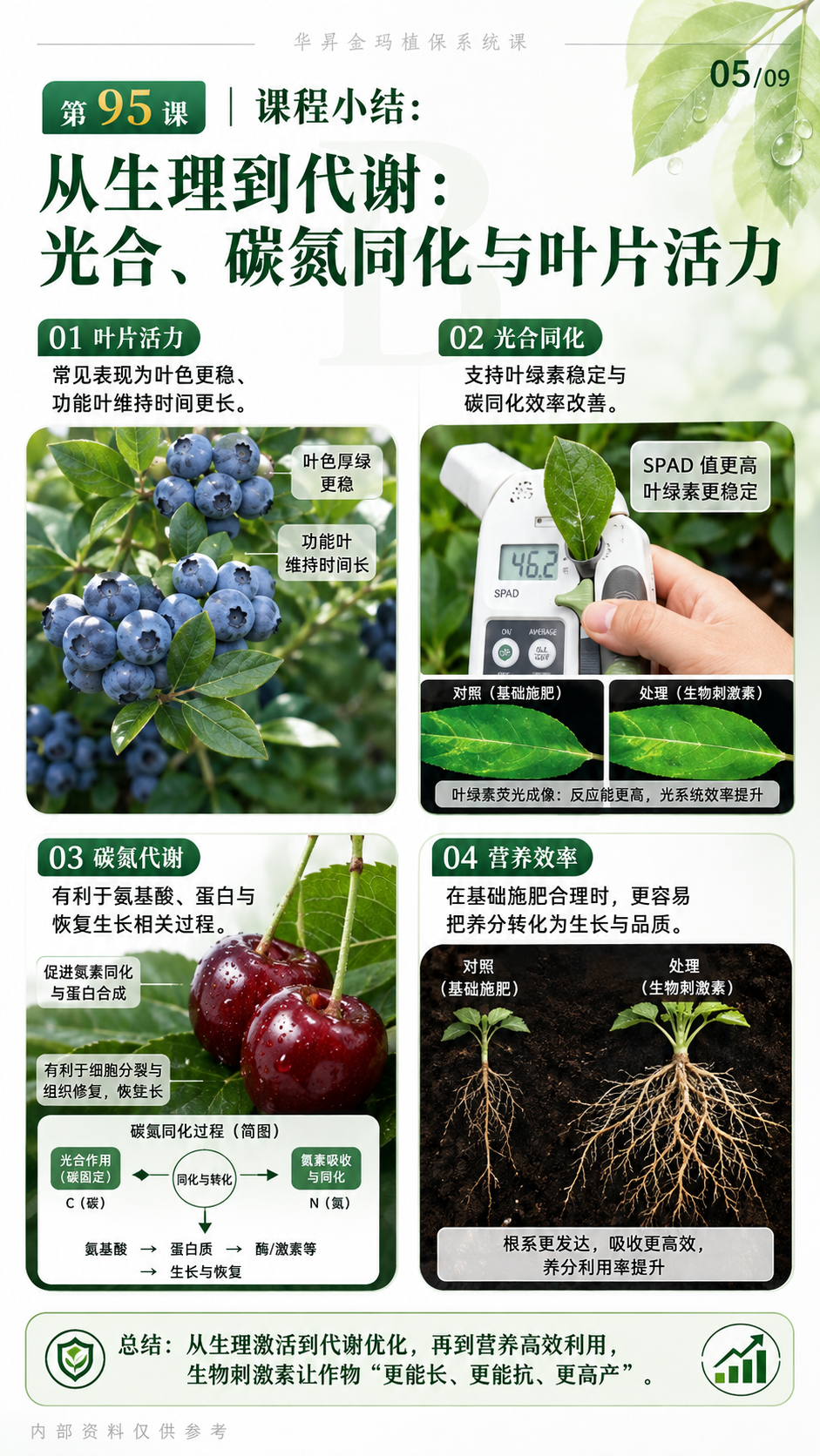 华昇金玛植保系统课第95课腐植酸、富里酸与根区施用核对第5张原图