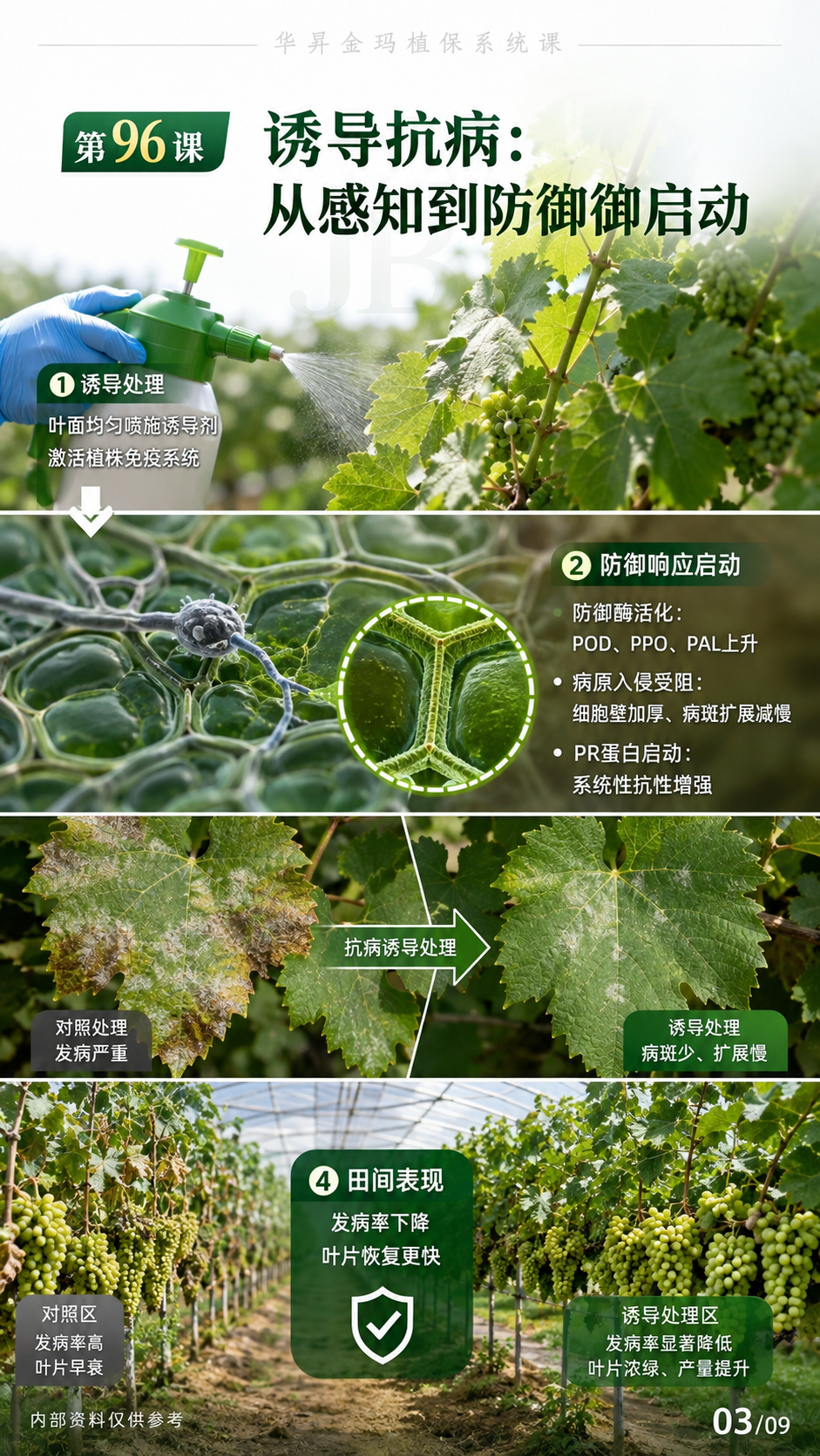 华昇金玛植保系统课第96课壳寡糖、诱抗与农业应用判断第3张原图