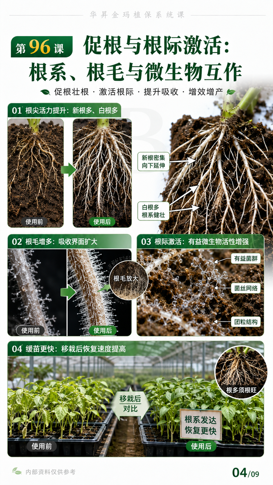华昇金玛植保系统课第96课壳寡糖、诱抗与农业应用判断第4张原图