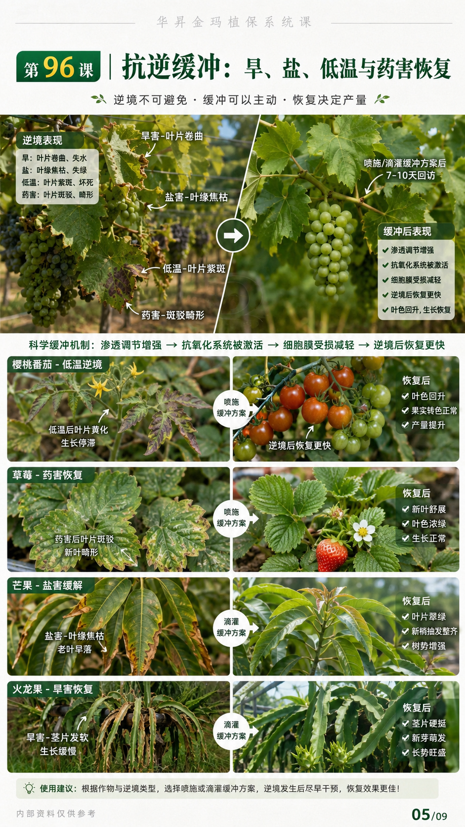 华昇金玛植保系统课第96课壳寡糖、诱抗与农业应用判断第5张原图