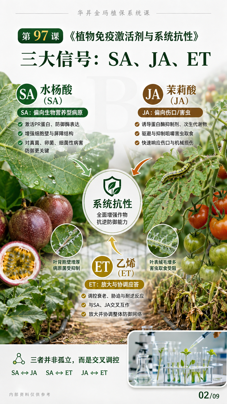 华昇金玛植保系统课第97课植物免疫激活剂与系统抗性第2张原图