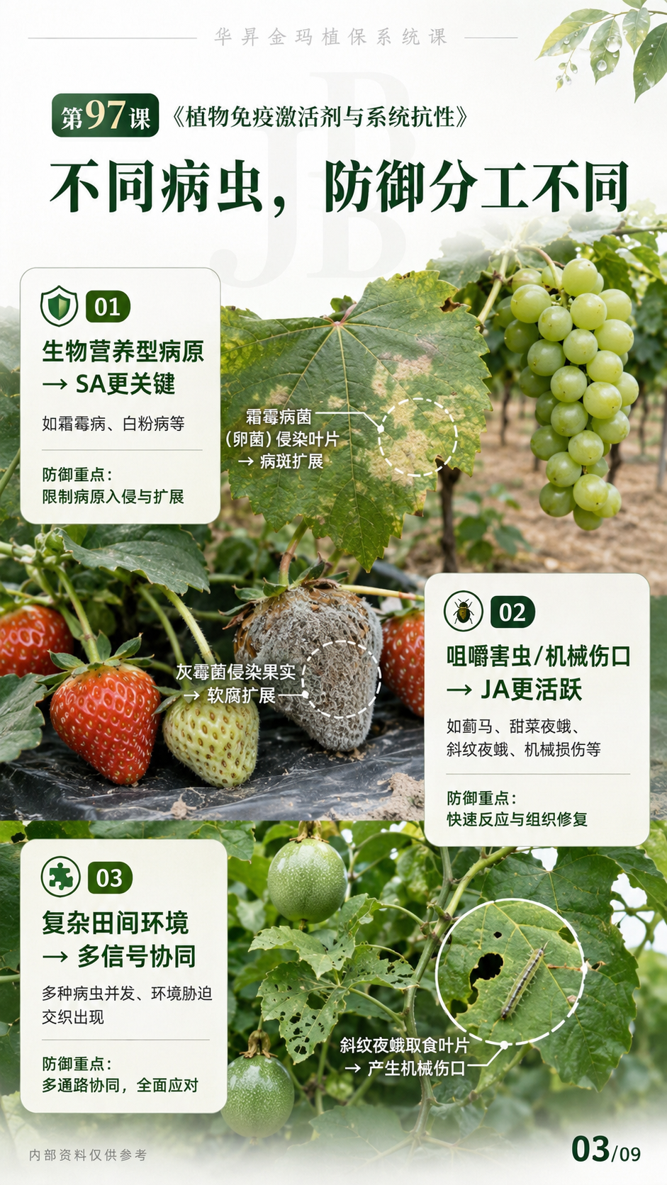 华昇金玛植保系统课第97课植物免疫激活剂与系统抗性第3张原图