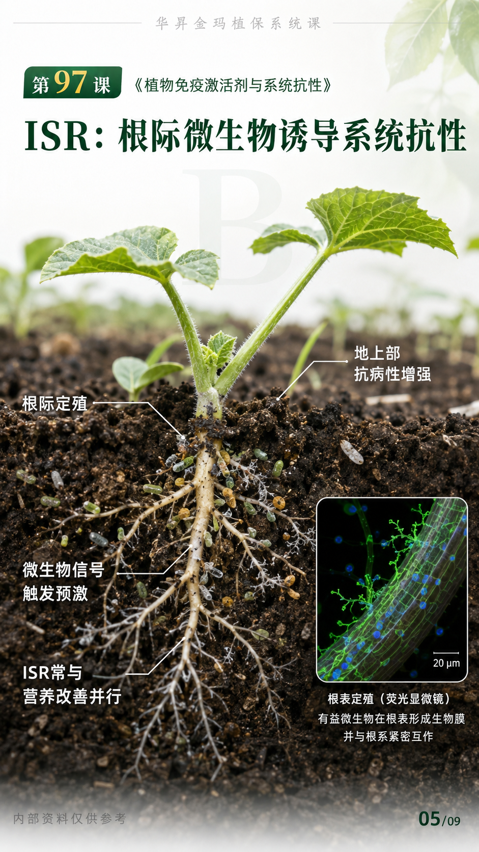 华昇金玛植保系统课第97课植物免疫激活剂与系统抗性第5张原图