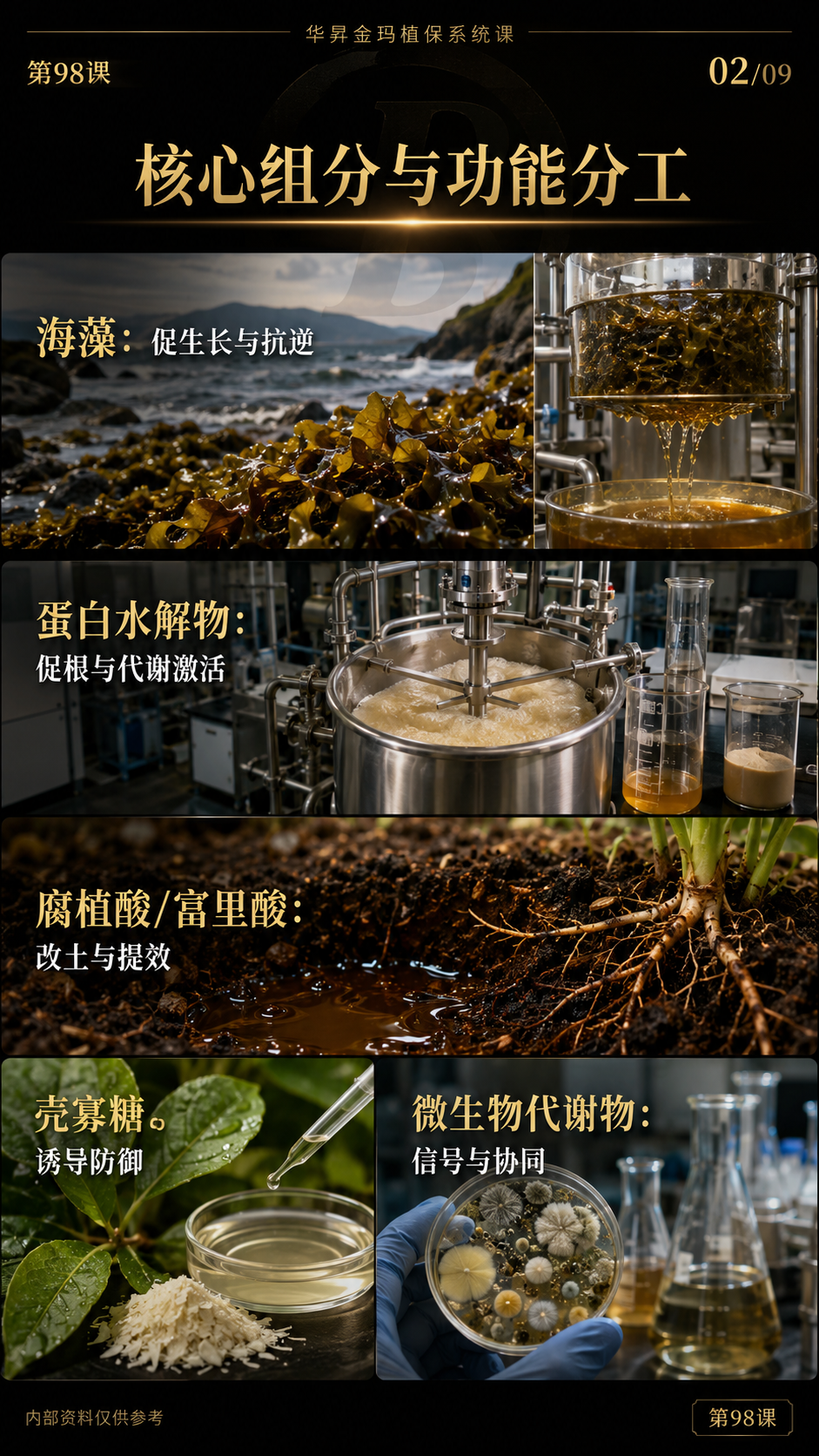 华昇金玛第98课图内02/09页：核心组分与功能分工