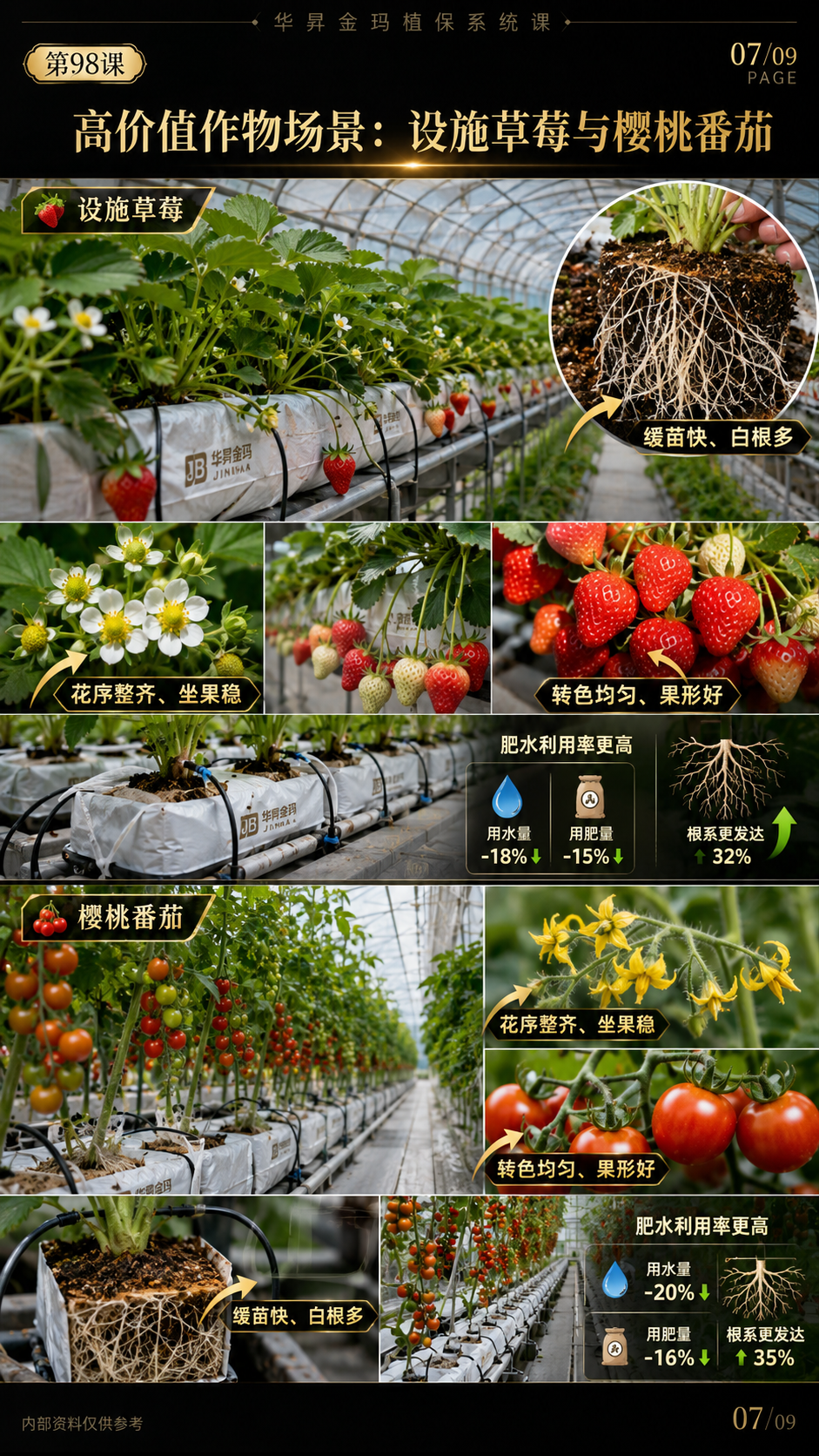 华昇金玛第98课图内07/09页：高价值作物场景：设施草莓与樱桃番茄