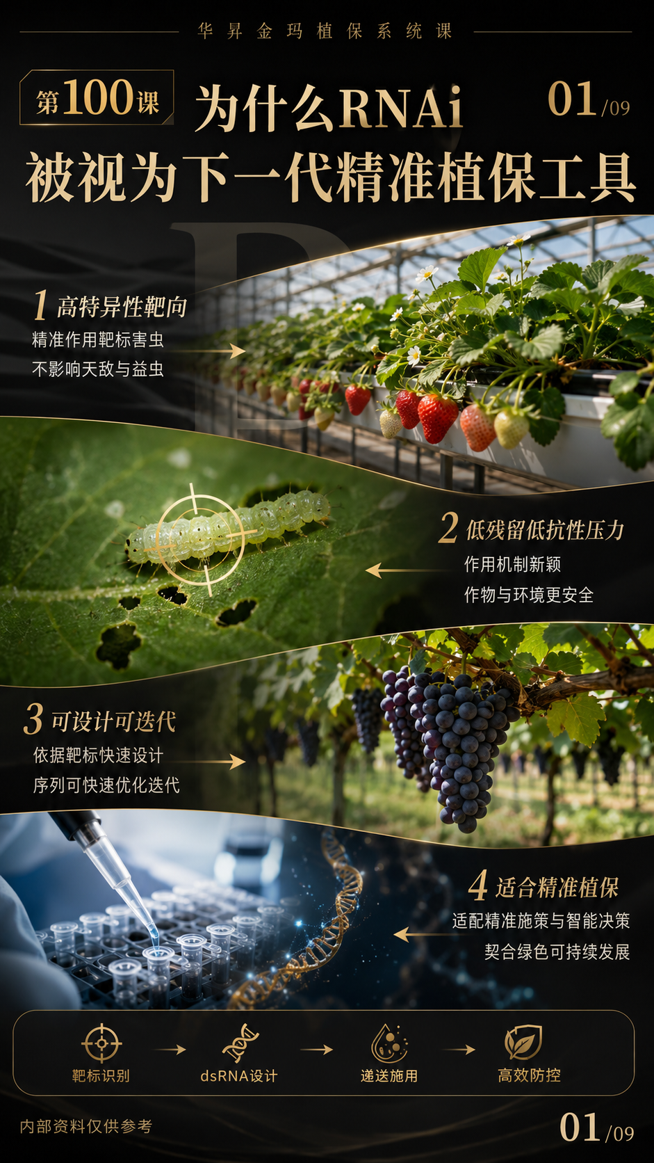 华昇金玛第100课图内01/09页：为什么RNAi被视为下一代精准植保工具