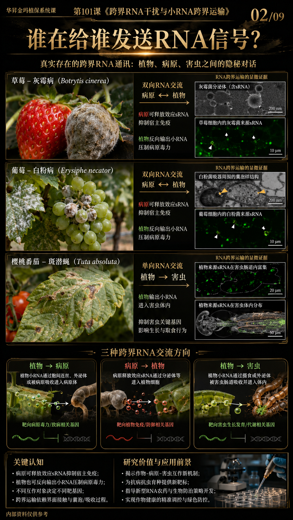 华昇金玛第101课图内02/09页：谁在给谁发送RNA信号