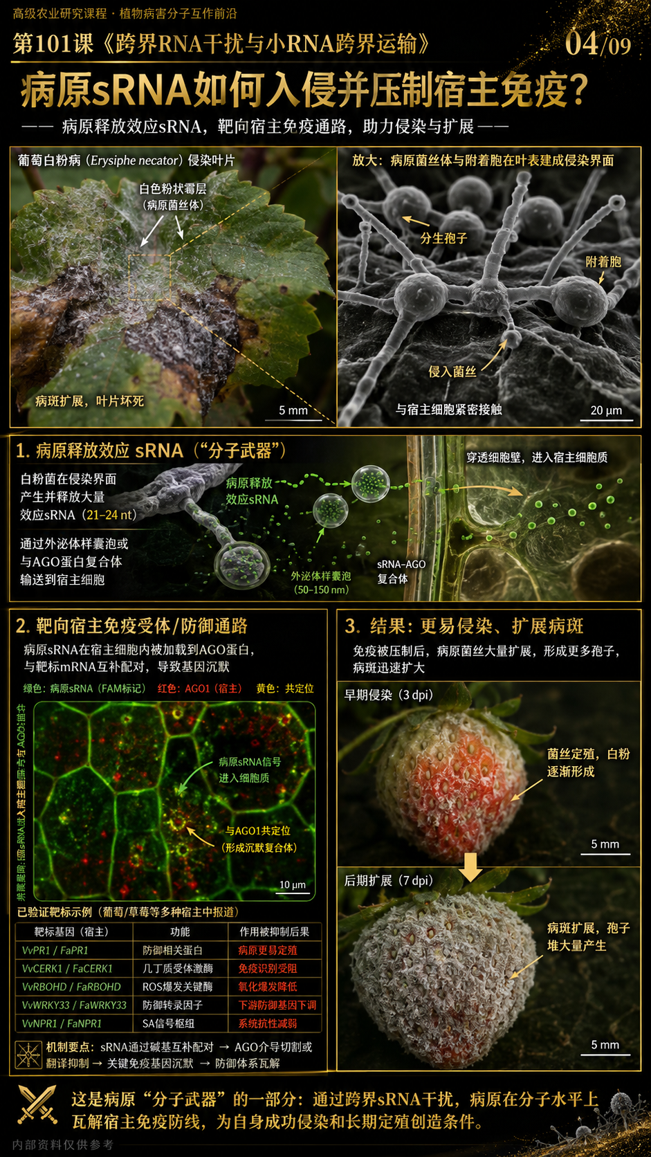 华昇金玛第101课图内04/09页：病原sRNA如何入侵并压制宿主免疫