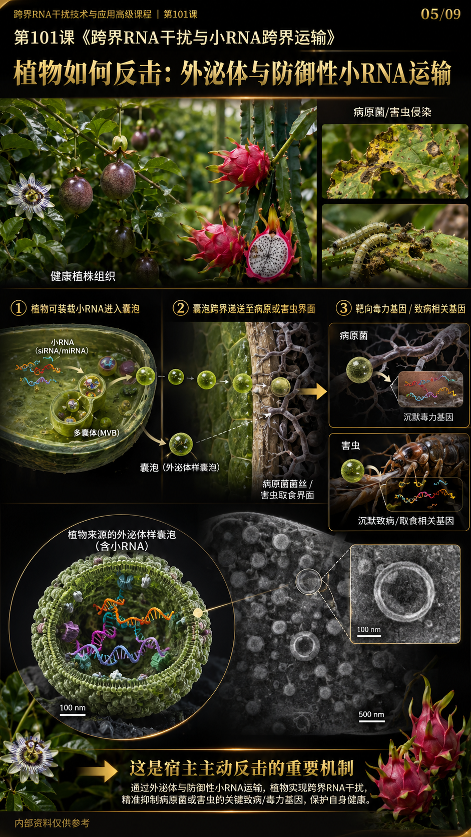 华昇金玛第101课图内05/09页：植物如何反击：外泌体与防御性小RNA运输
