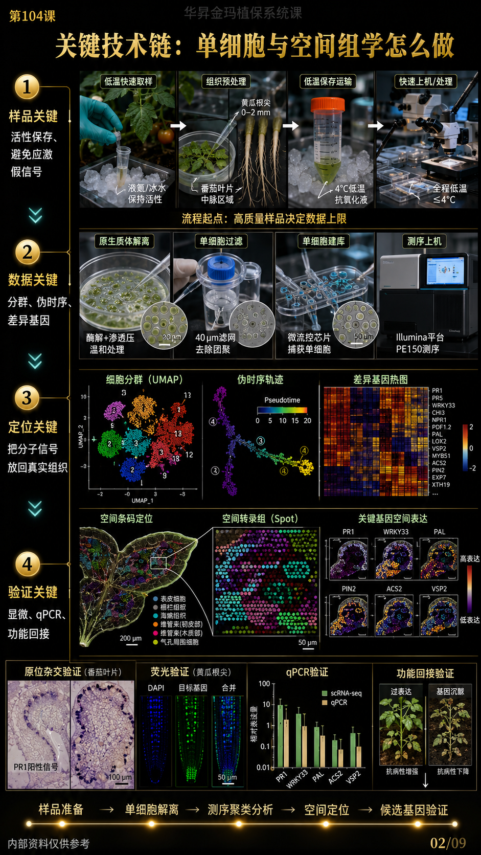 华昇金玛第104课图内02/09页：关键技术链：单细胞与空间组学怎么做