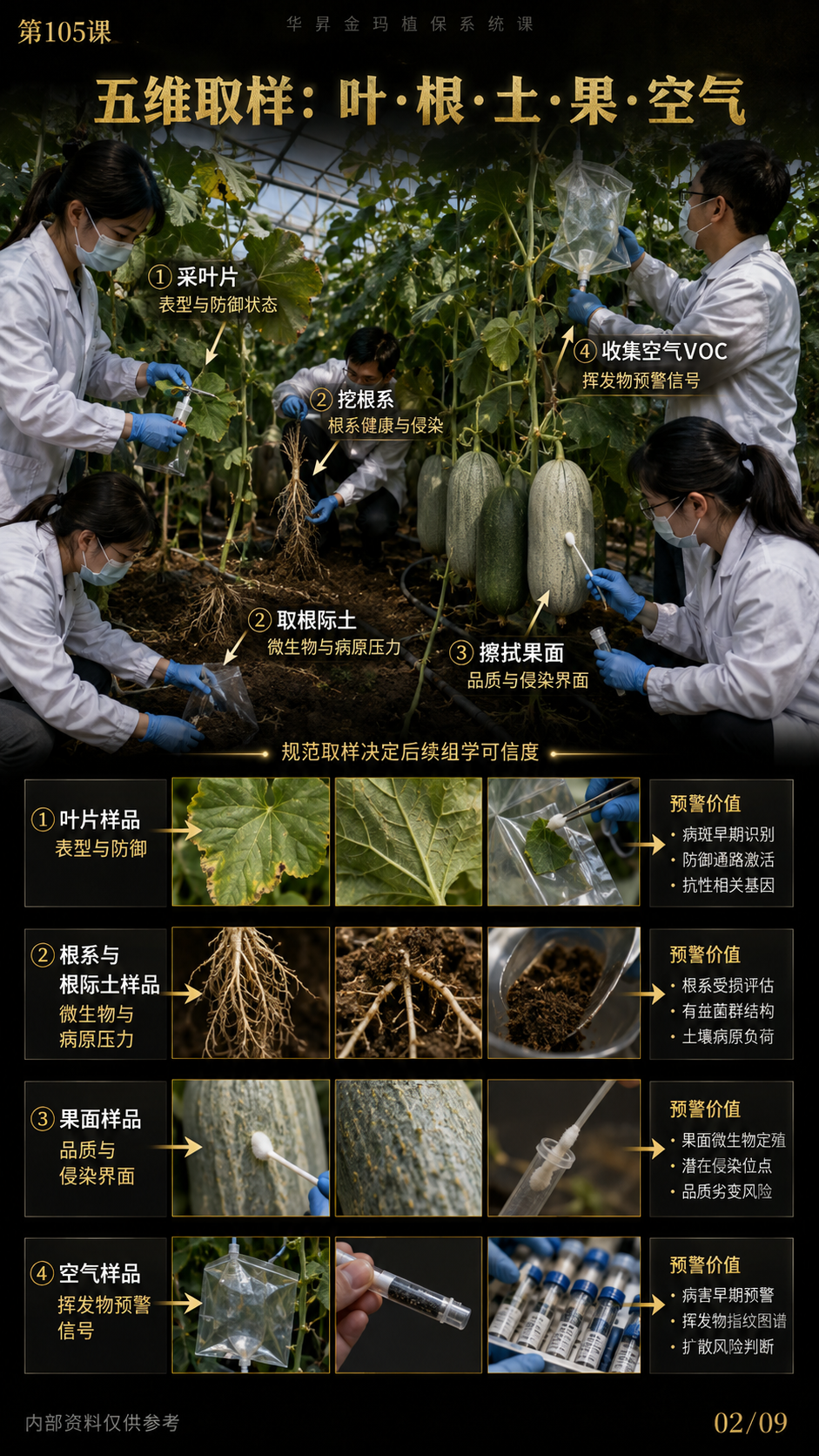 第105课02/09原图：五维取样，叶、根、土、果、空气