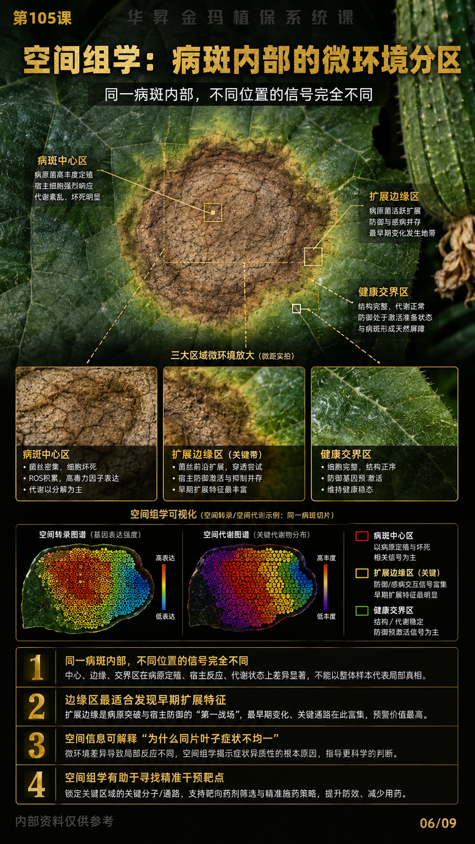 华昇金玛第105课图内06/09页：空间组学：病斑内部的微环境分区