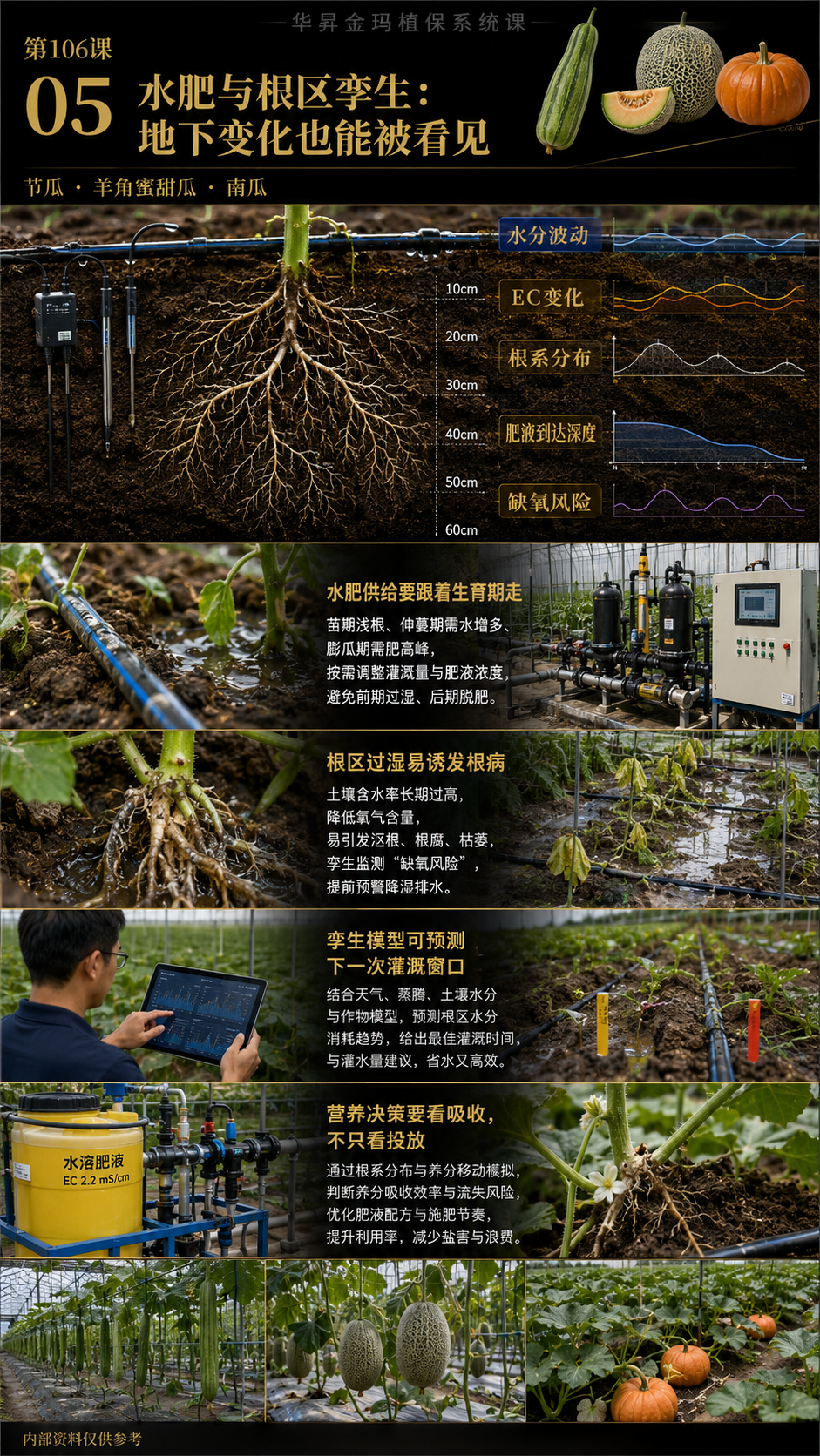 华昇金玛第106课图内05序号：水肥与根区孪生：地下变化也能被看见