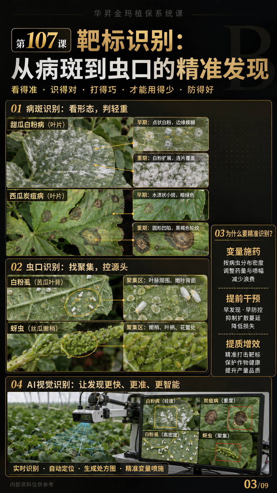 华昇金玛第107课图内03序号：靶标识别：从病斑到虫口的精准发现