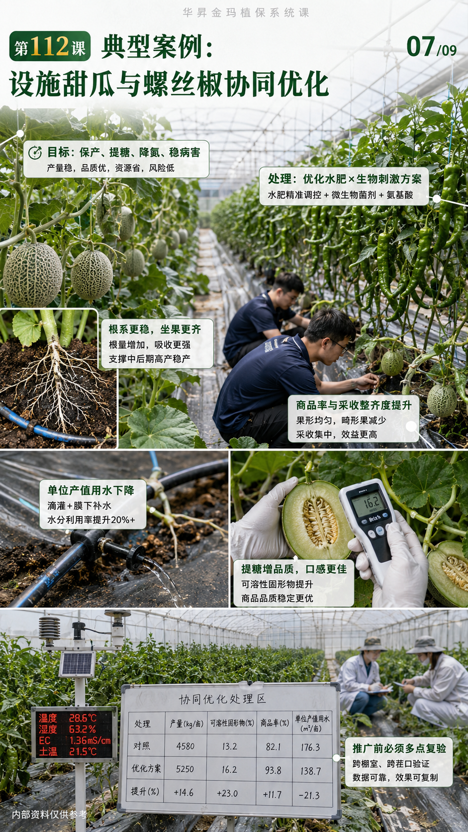 第112课第7张原图：设施甜瓜与螺丝椒协同优化示意