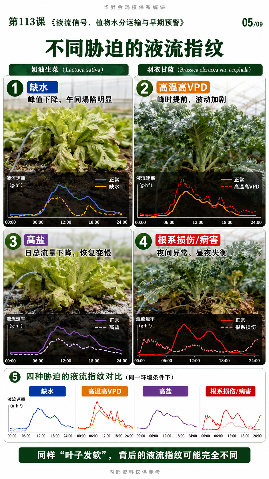 华昇金玛第113课图内05/09页：不同胁迫的液流指纹