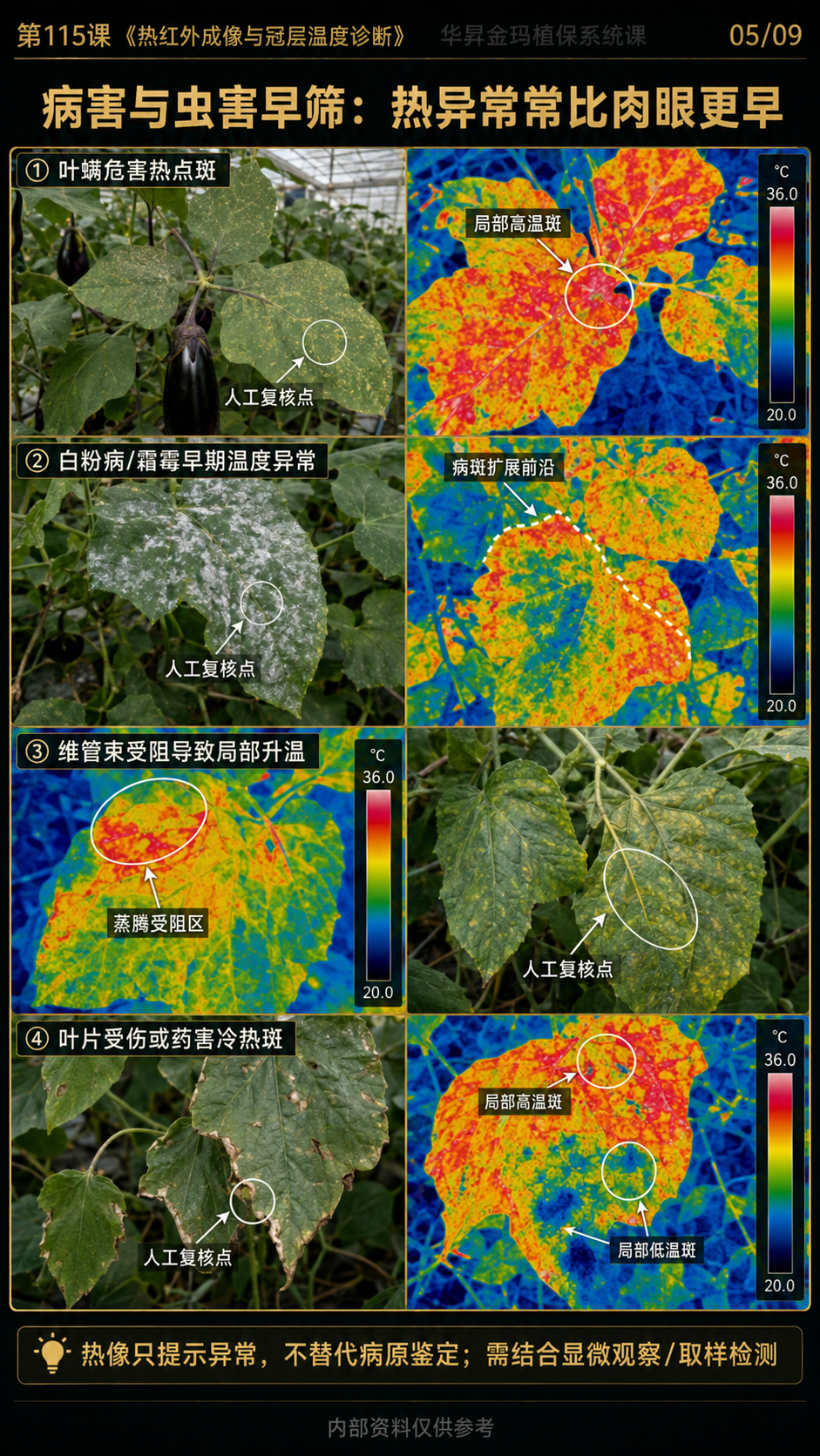 华昇金玛第115课图内05序号：病害与虫害早筛：热异常常常比肉眼更早
