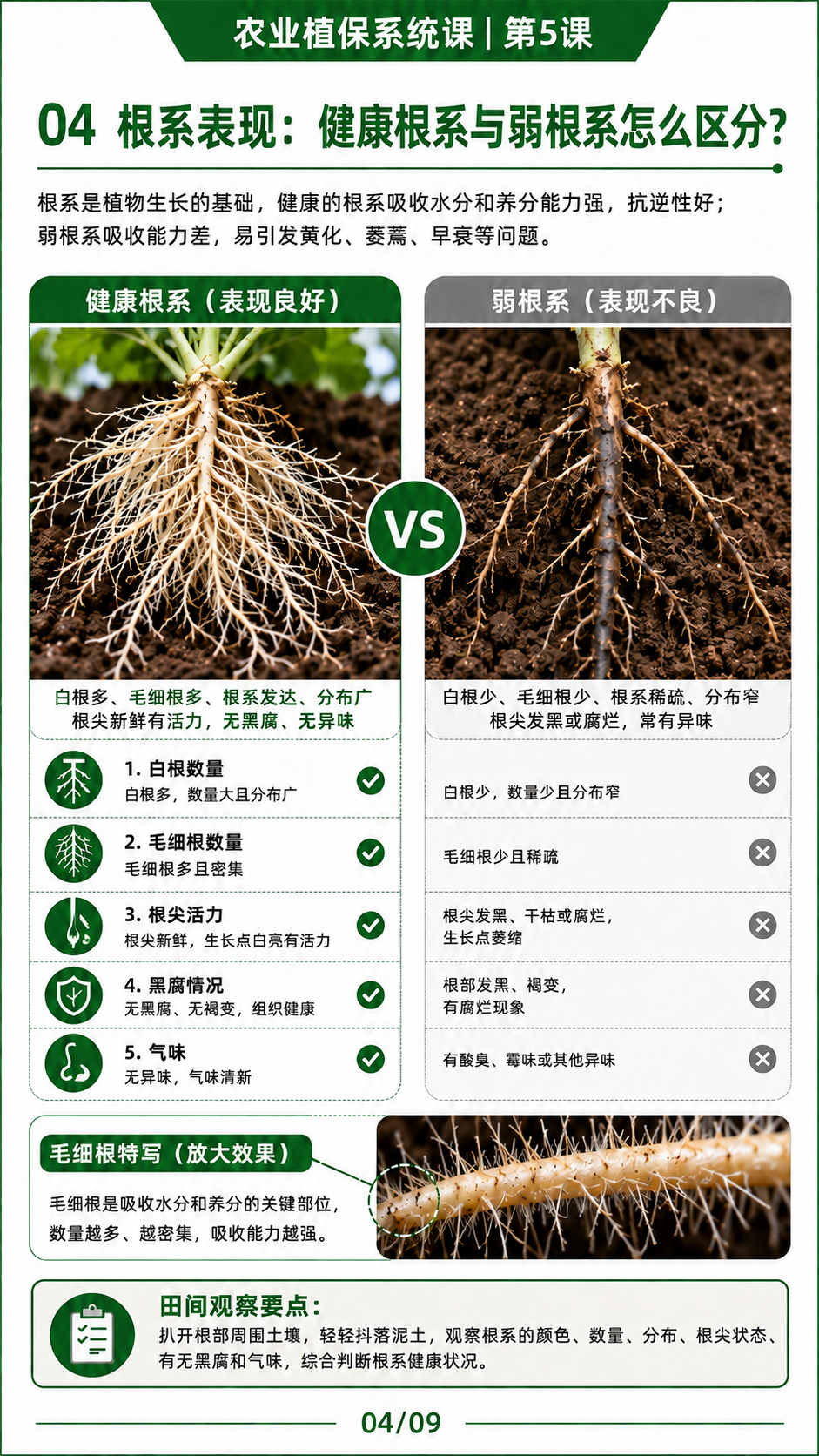 华昇金玛植保系统课第5课第4页高清原图