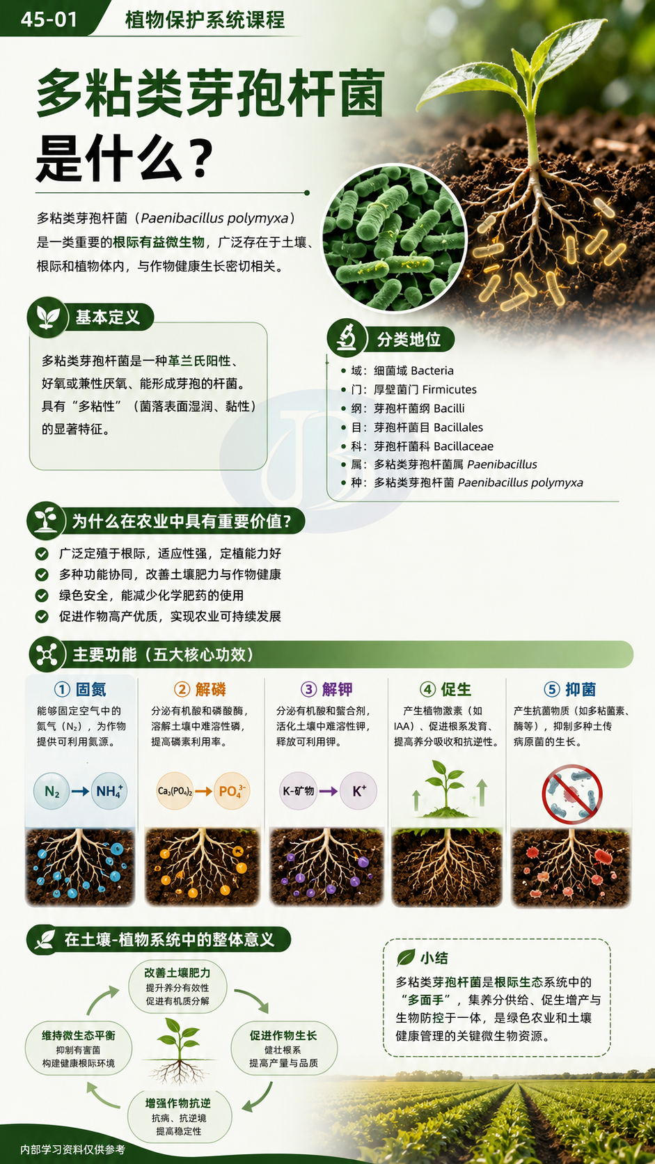 华昇金玛植保系统课第45课多粘类芽孢杆菌第1张原图