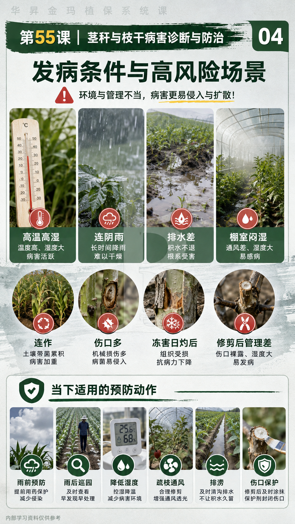 华昇金玛植保系统课第55课枝干与茎基部病害第1张原图