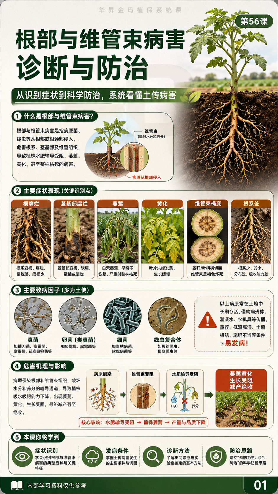 华昇金玛植保系统课第56课原课件第1页，原文件未改动