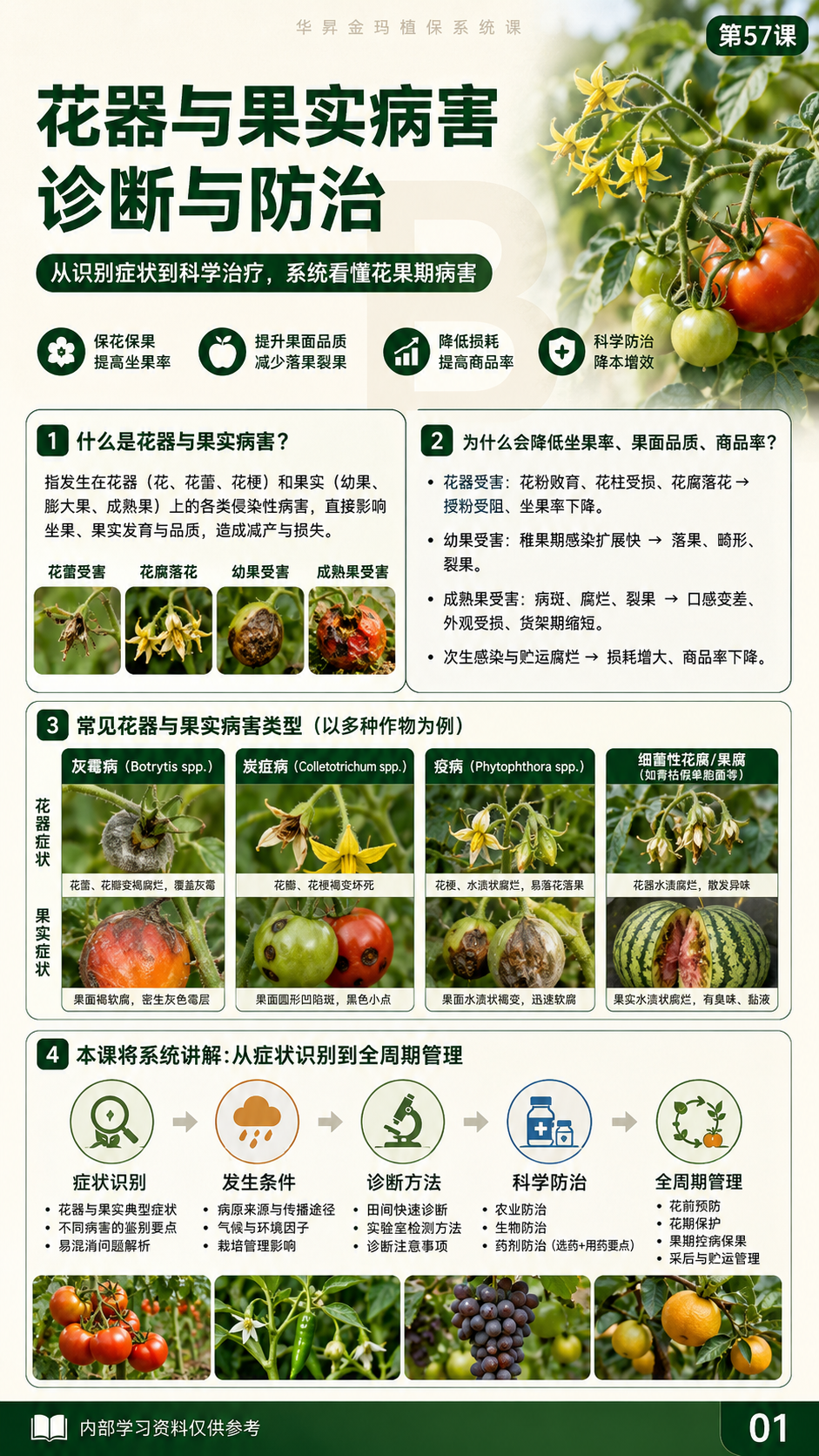 华昇金玛植保系统课第57课花果期病害第1张原图