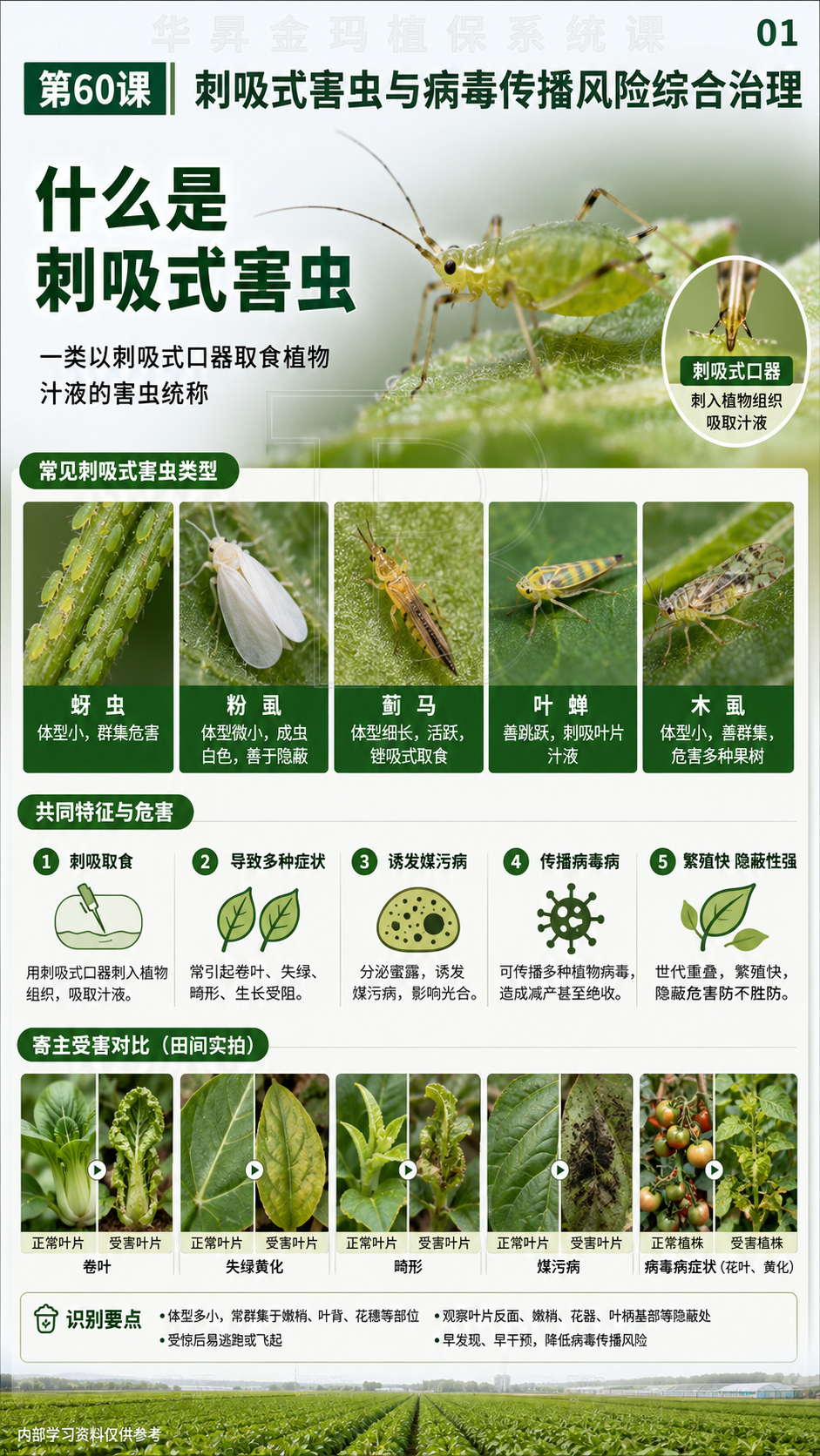 华昇金玛植保系统课第60课原课件第1页，原文件未改动