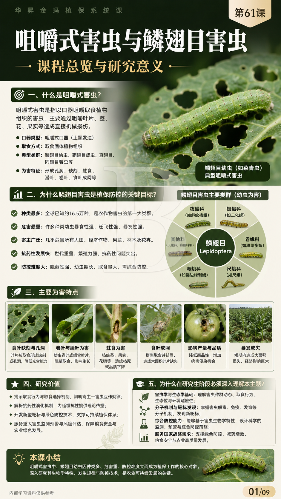 华昇金玛植保系统课第61课咀嚼式害虫第1张原图