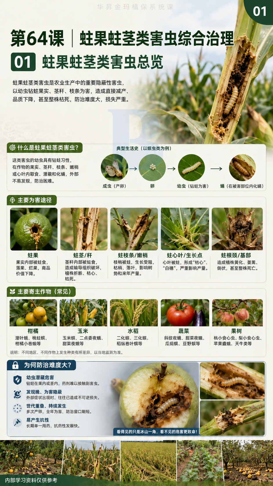 华昇金玛植保系统课第64课原课件第1页，原文件未改动
